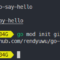 Membuat module dengan command go mod init
