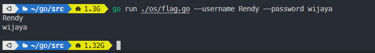 Output flag pada golang