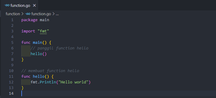 Membuat function pada golang