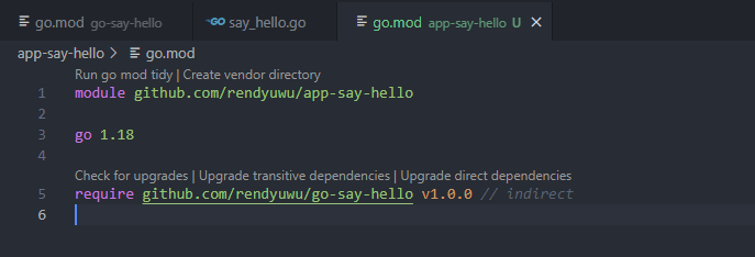 Iso file go.mod setelah add dependencies