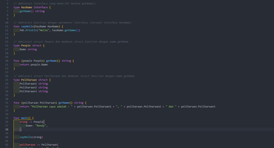 Membuat interface pada golang