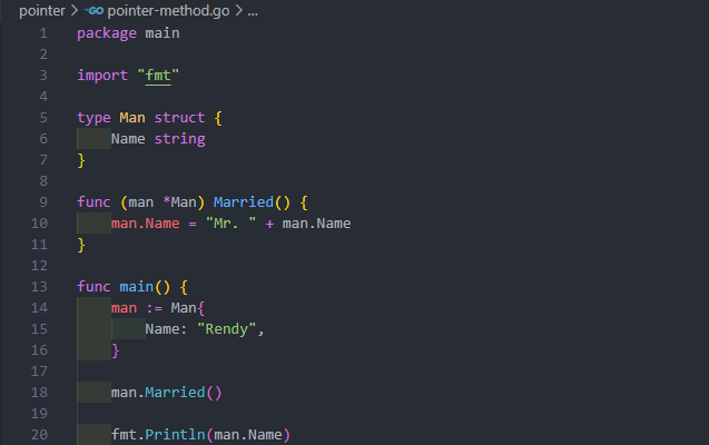 Method dengan pointer pada golang