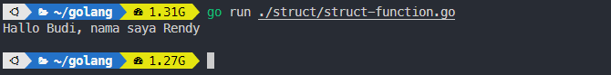 Output penggunaan struct method pada golang