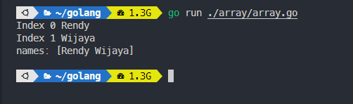 Output array pada golang