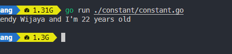Output constant golang