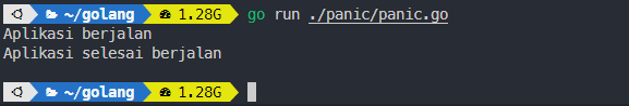 Output panic saat error false