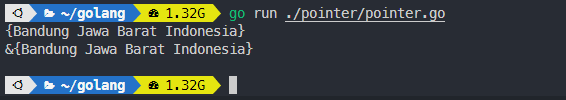 Output pass by reference