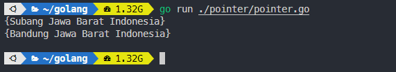 Output pass by value pada golang