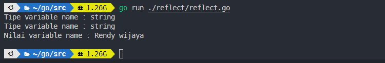 Output beberapa function pada package reflect