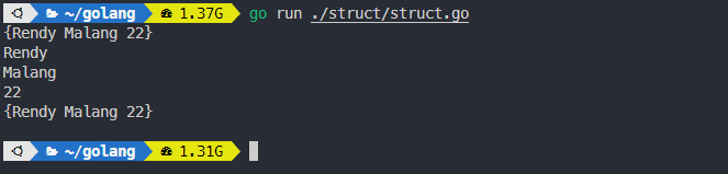 Output struct pada golang