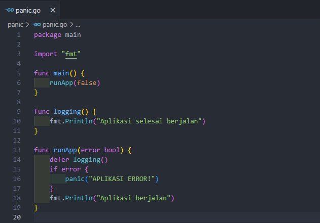 Panic function pada golang