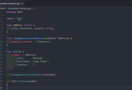 Pointer pada function