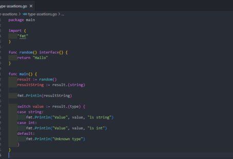 Penggunaan type assertions pada golang