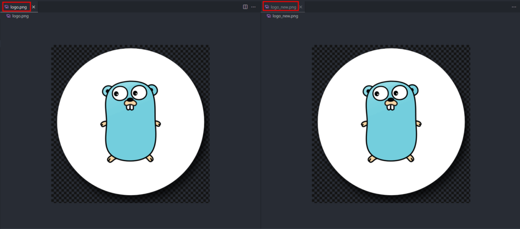 Output embed []byte