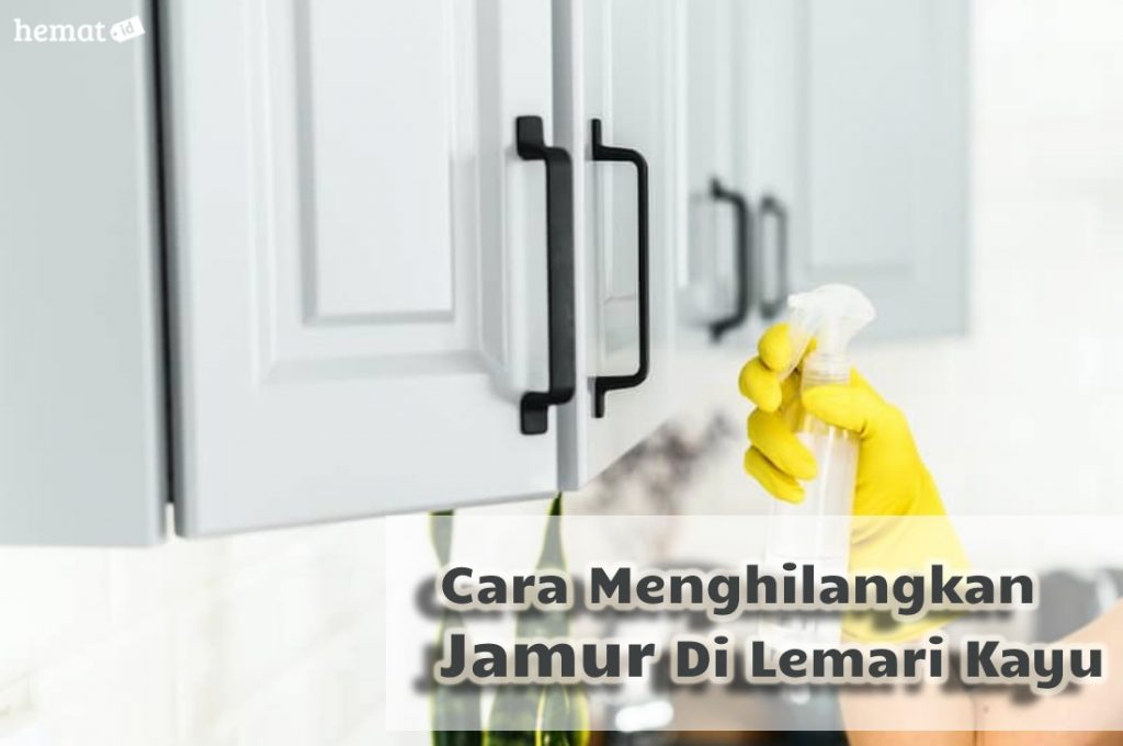  Cara  Menghilangkan  Jamur  Di  Lemari Kayu dengan bahan alami