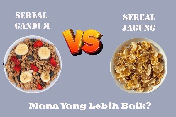 Sereal Gandum VS Sereal Jagung Mana Yang Lebih Baik