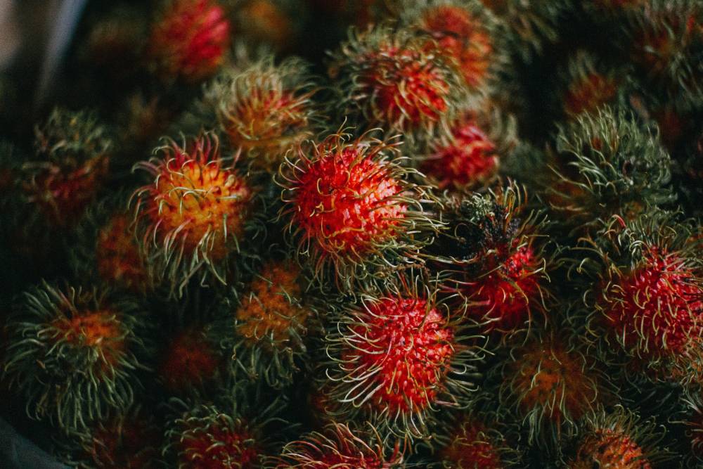 Sedang Musim Rambutan, Begini Resep Asinan Rambutan