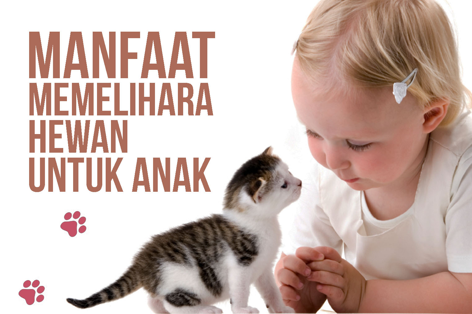 7 Manfaat Tak Terduga Bagi Anak Jika Memelihara Hewan