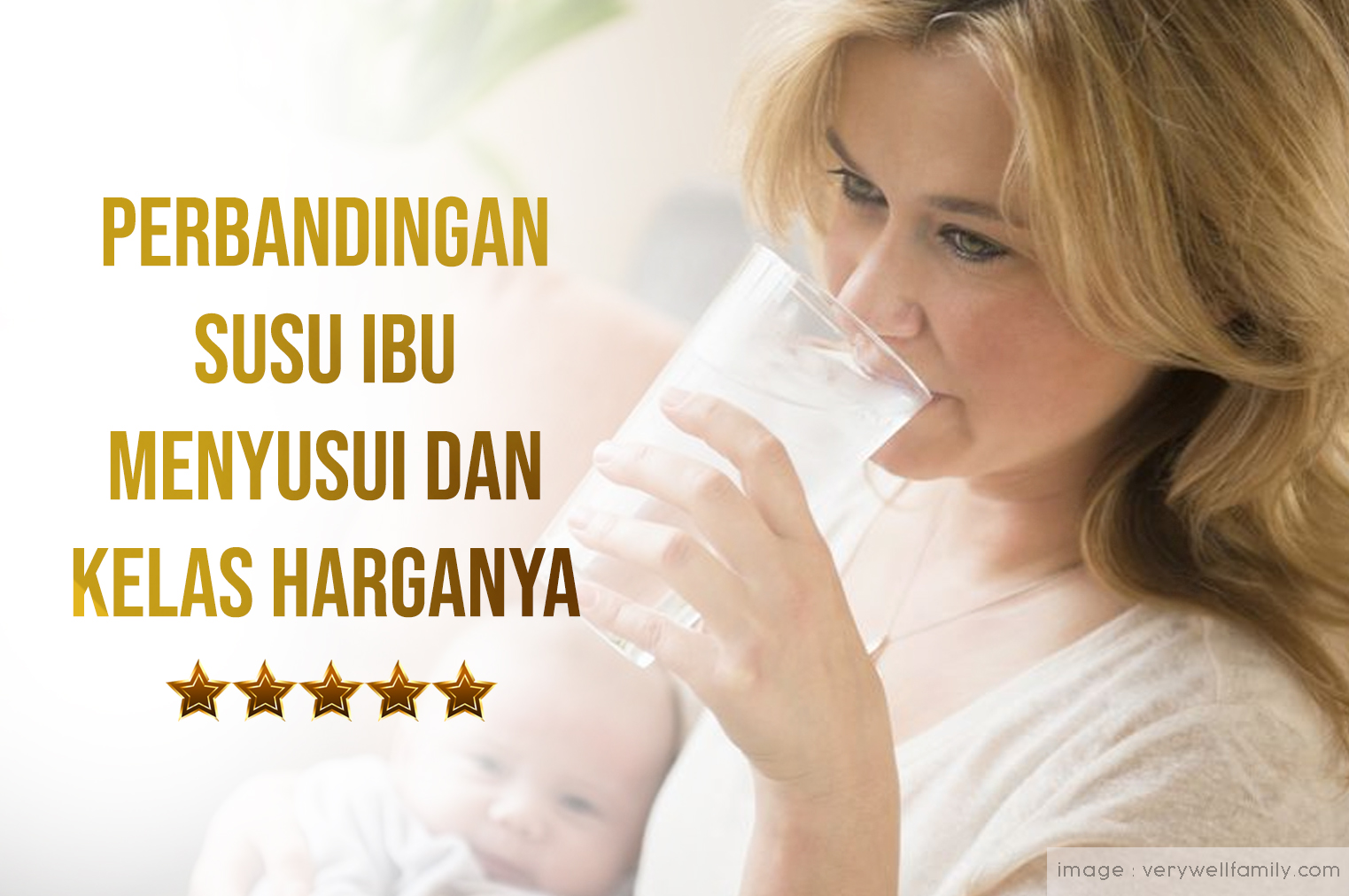 Perbandingan Susu Ibu Menyusui Dan Kelas Harganya