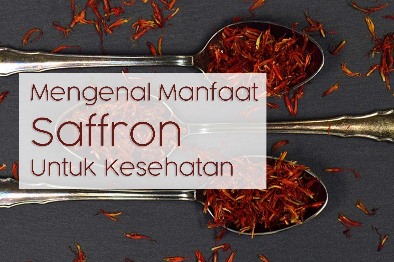 Mengenal Manfaat Saffron Untuk Kesehatan