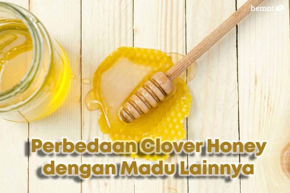 Perbedaan Clover Honey dengan Madu Lainnya