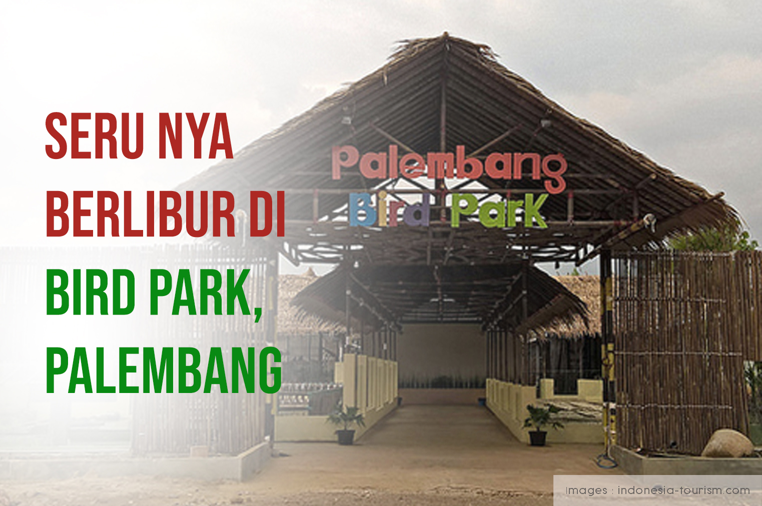 Serunya Berlibur Di Bird Park, Palembang