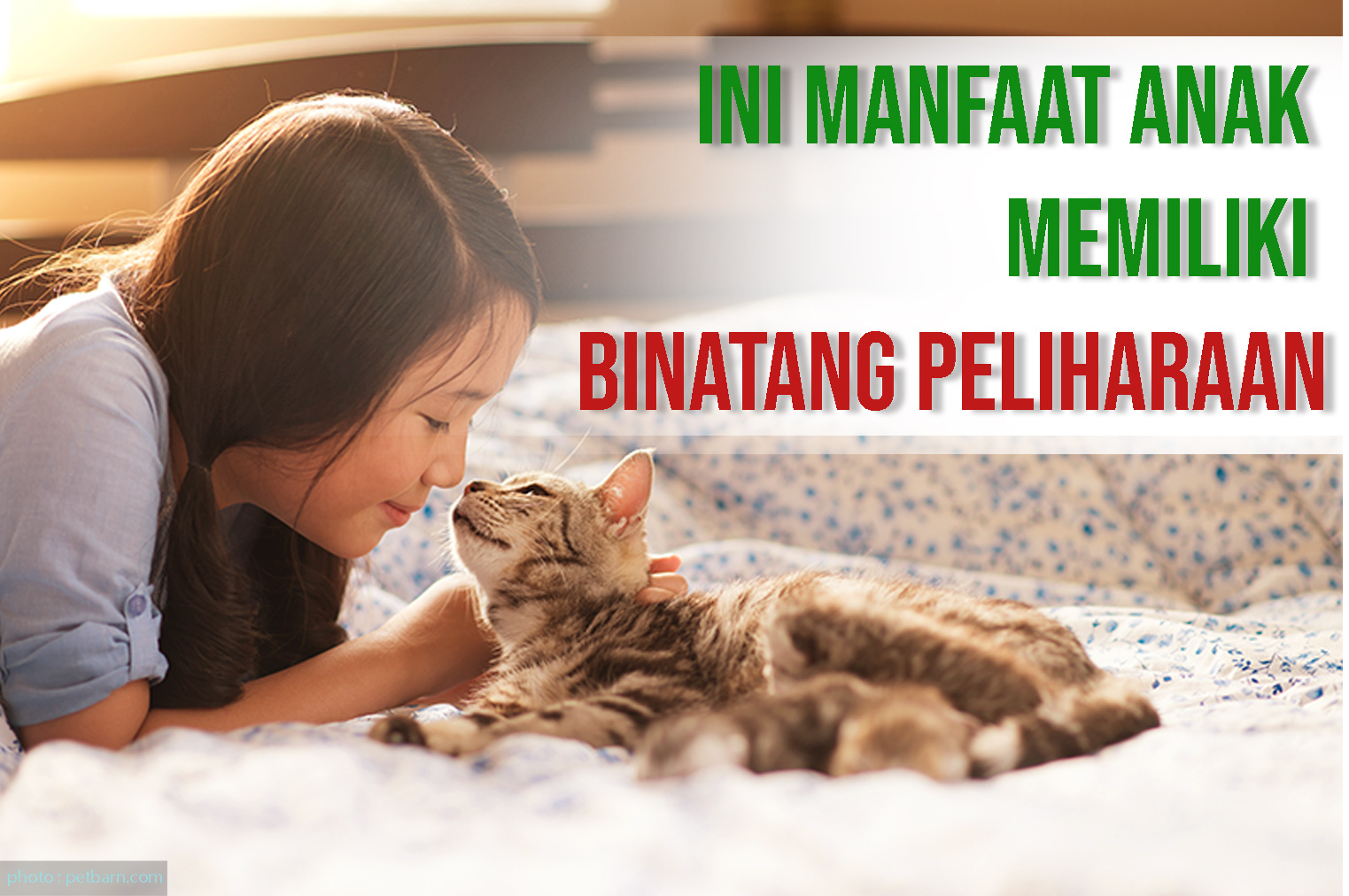 Ini Manfaat Anak Memiliki Binatang Peliharaan