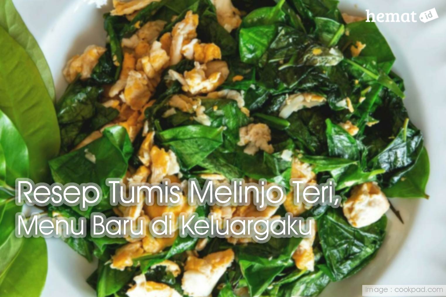 Resep Tumis Melinjo Teri, Menu Baru Di Keluargaku