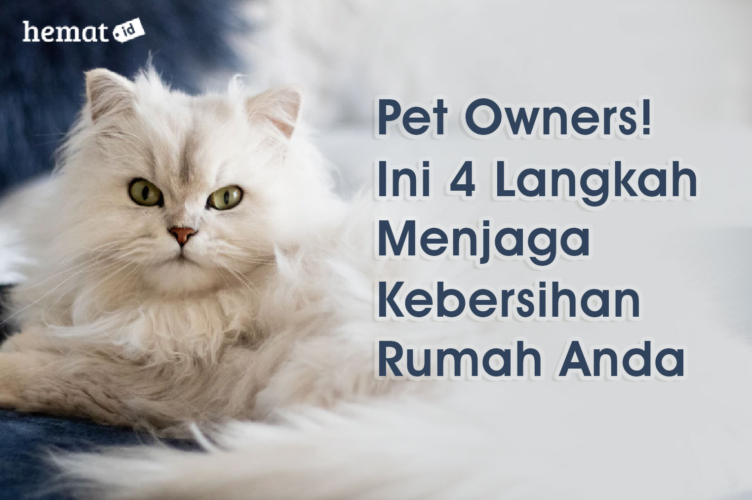 Pet Owners! Ini 4 Langkah Menjaga Kebersihan Rumah Anda