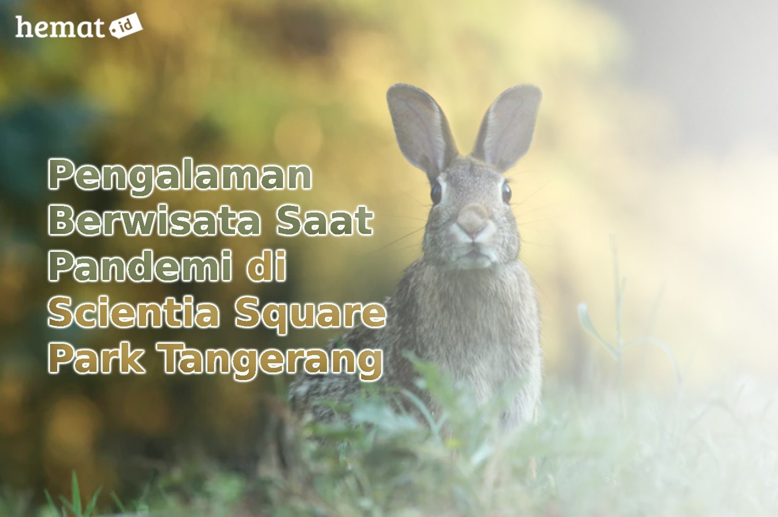 Pengalaman Berwisata Saat Pandemi di Scientia Square Park Tangerang