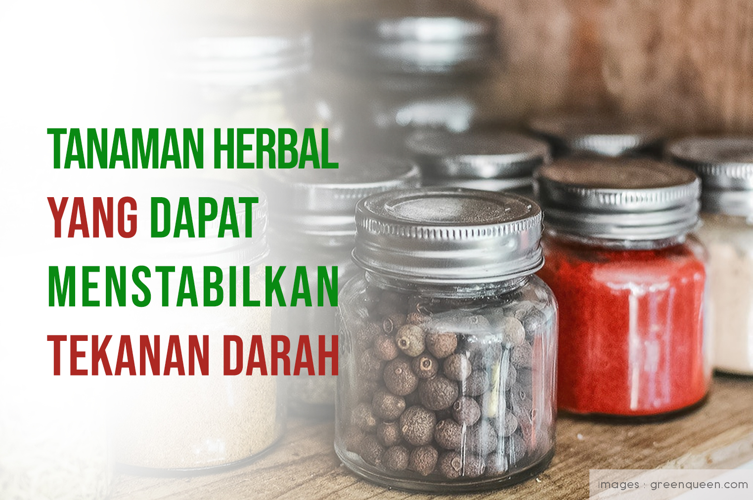 Tanaman Herbal Ini Dapat Menstabilkan Tekanan Darah Anda