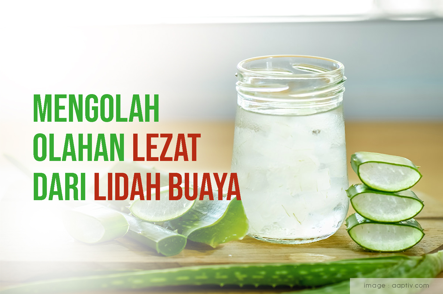 Olahan Lezat Dari Lidah Buaya