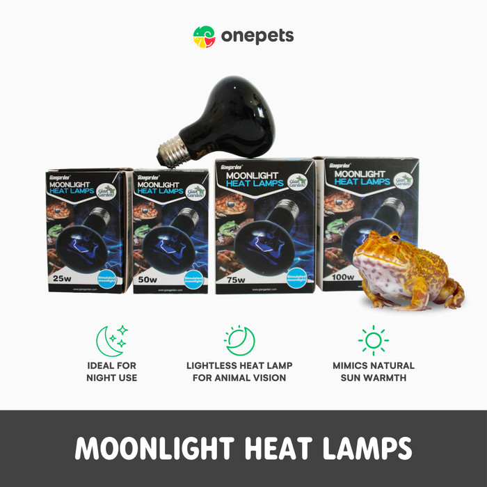 Lampu UVA Reptile Moonlight Heat Lamps