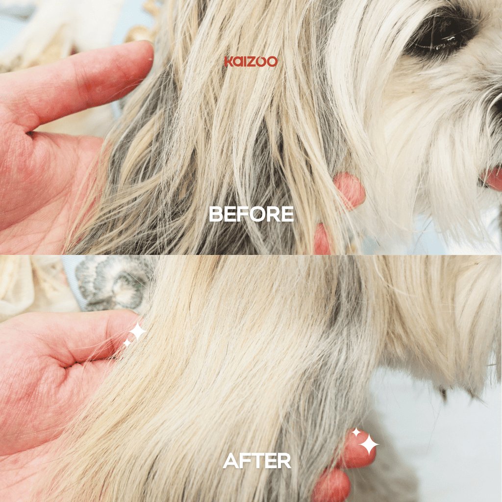 Beauty Fur Pet Spray 100 mL 3