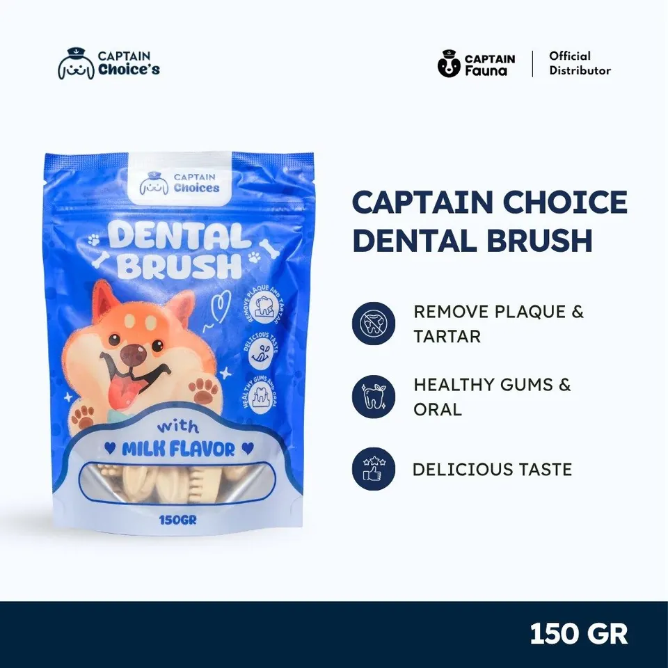 Dental Stick Toothbrush 150g - Mix