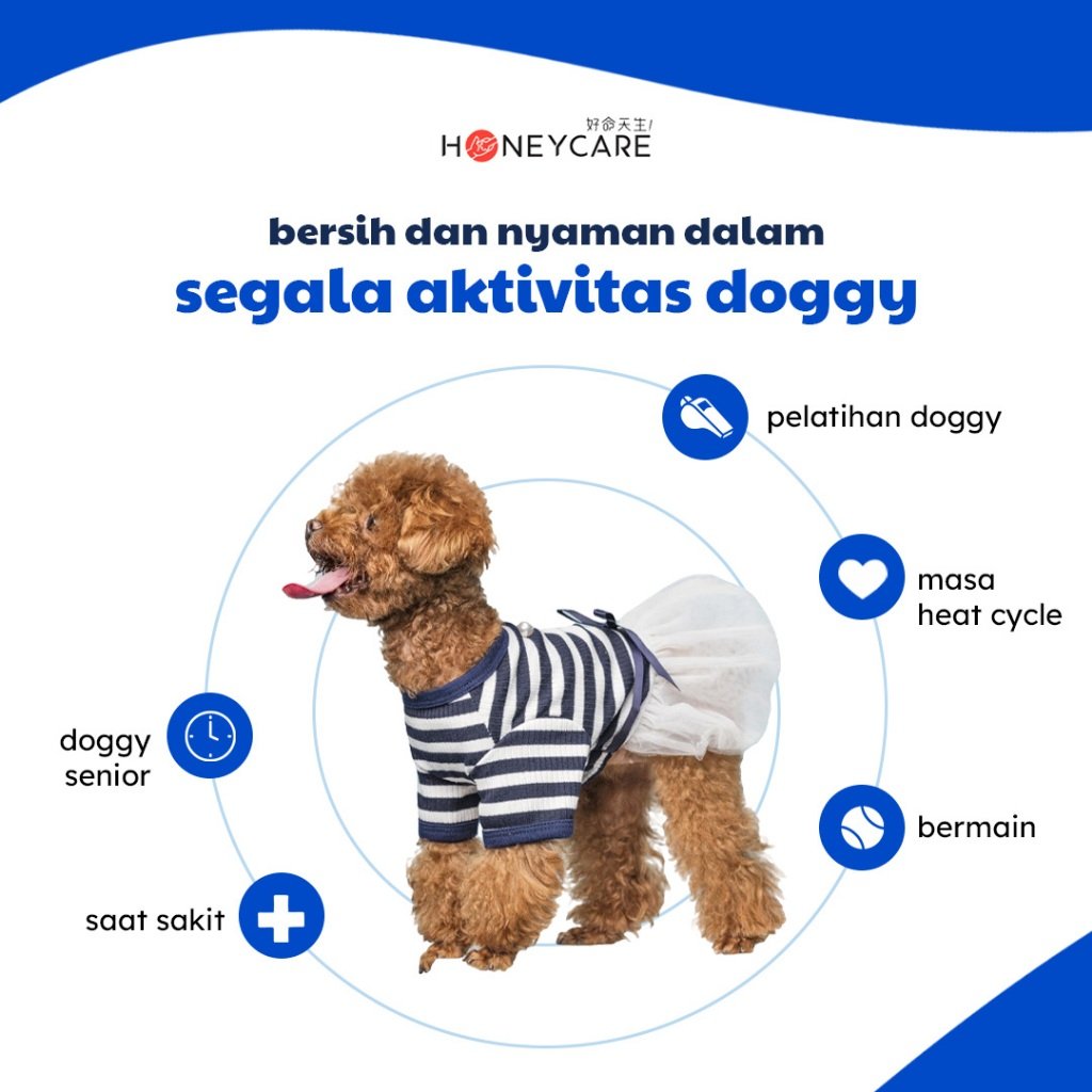 Disposable Female Dog Diapers 10 pcs 3