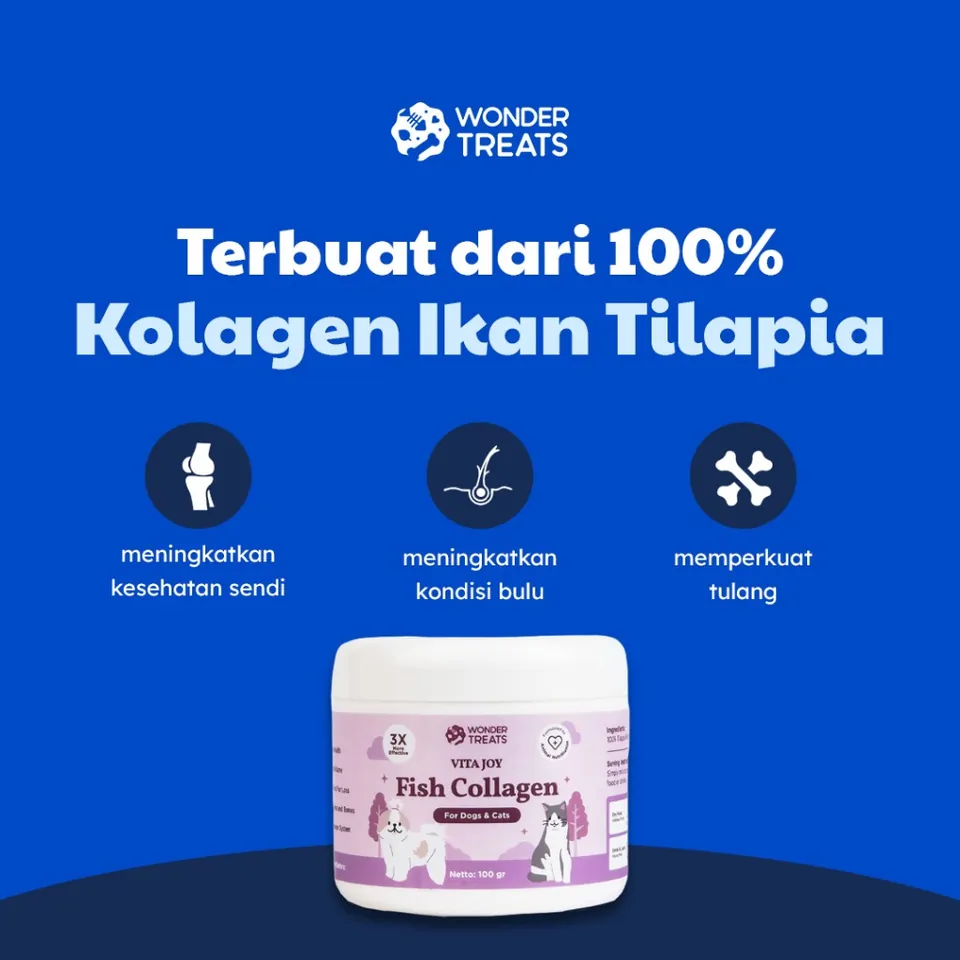 Fish Collagen Powder