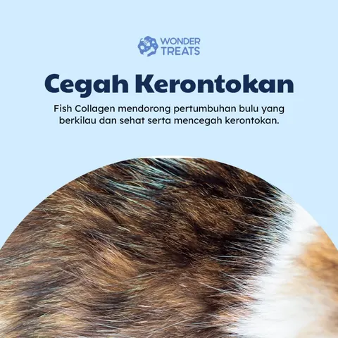 Fish Collagen Powder 4