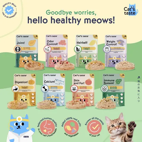 Healthy Series – Complete Care Wet Food 70g - Skin n Fur 2