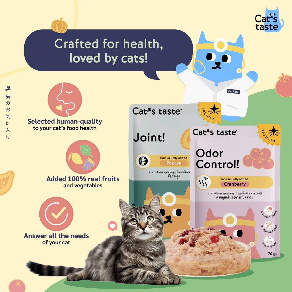 Healthy Series – Complete Care Wet Food 70g - Skin n Fur 4
