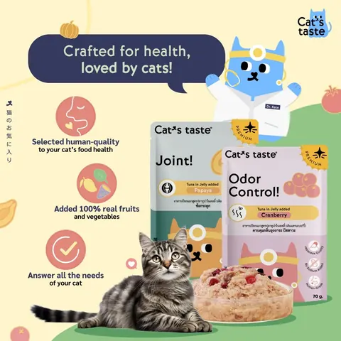 Healthy Series – Complete Care Wet Food 70g - Skin n Fur 4