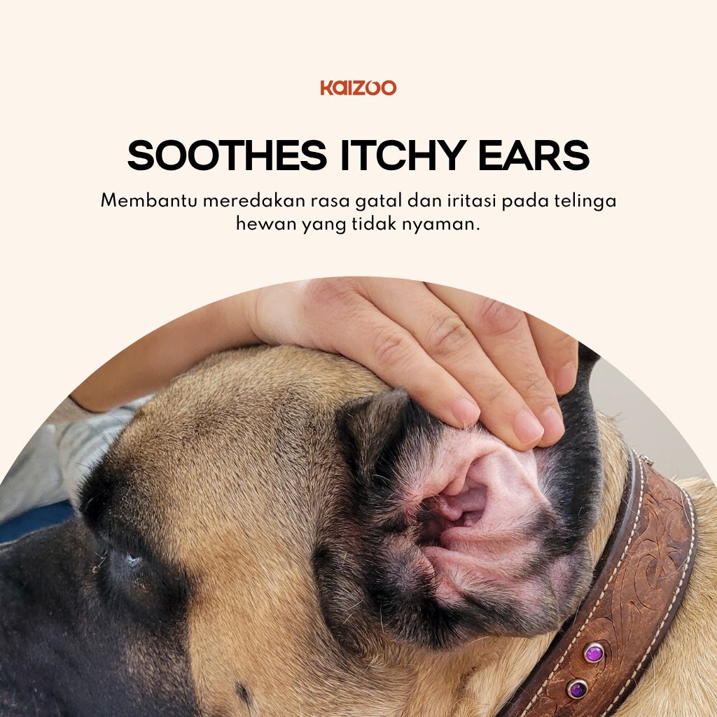 Natural Ear Wash 100 mL 5