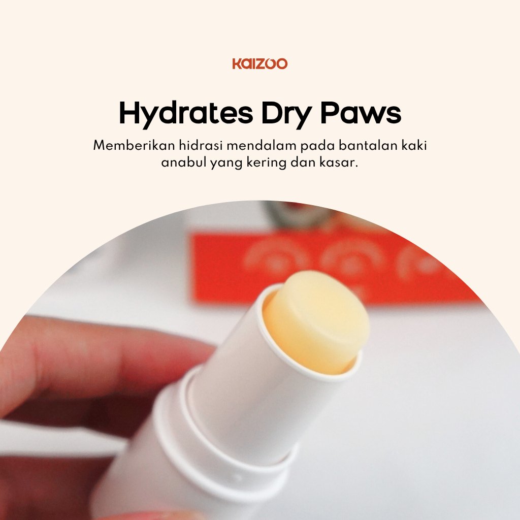 Paw Moisturizing Cream 6 gr 4