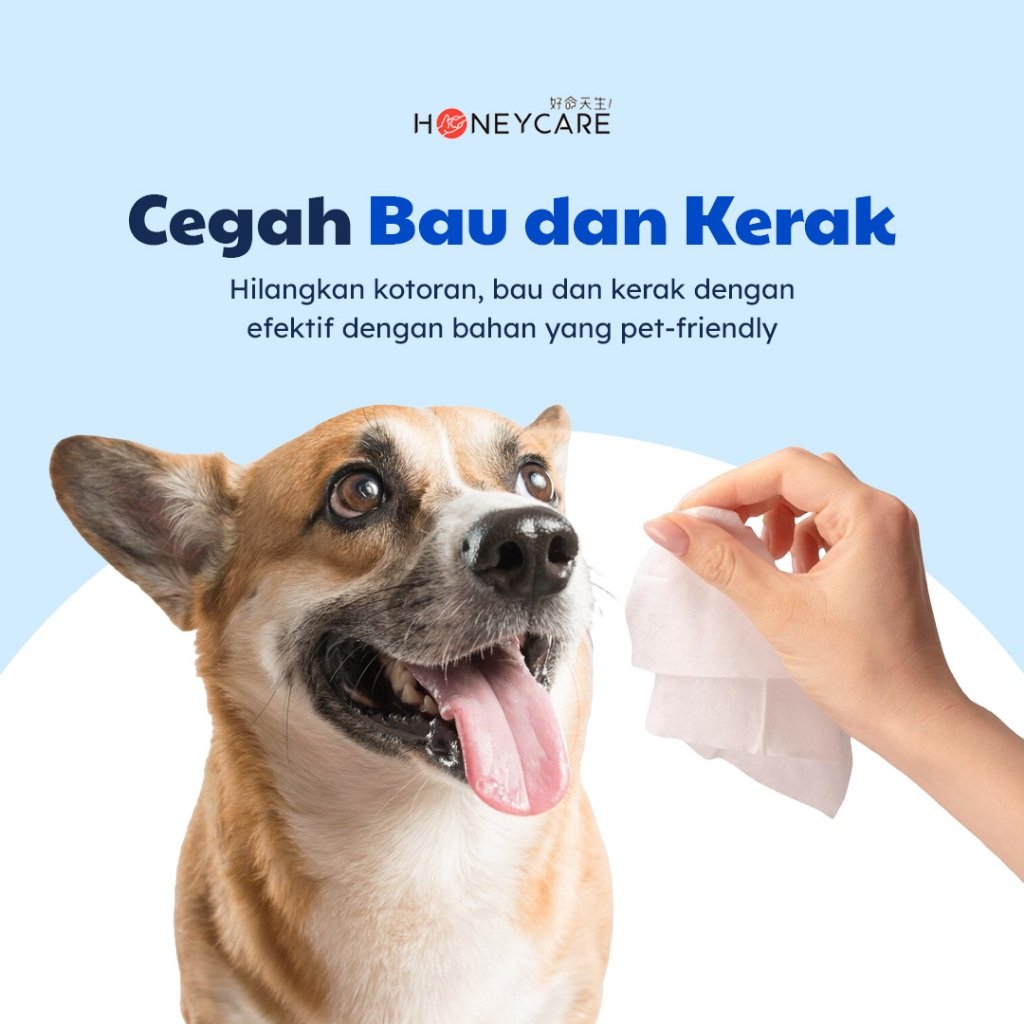 Pet Wipes / Tisu Basah Hewan 4