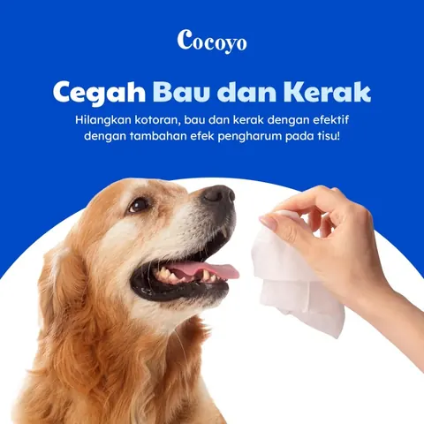 Pet Wipes / Tisu Basah Hewan 3