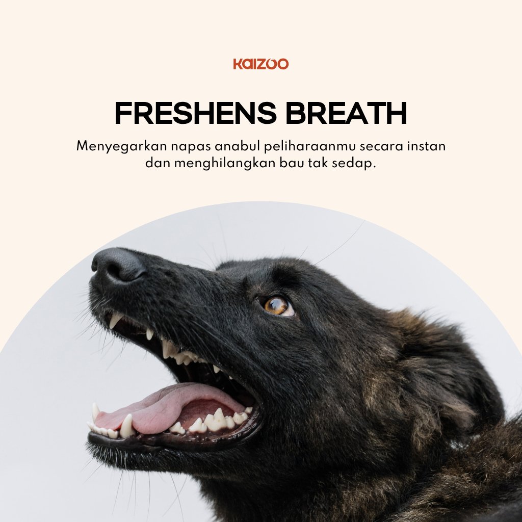 Probiotic Pet Mouthwash 250 mL