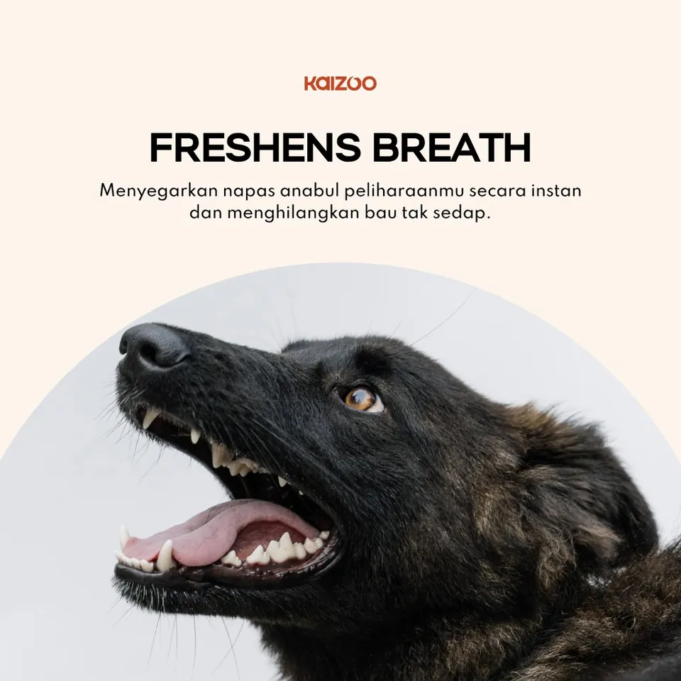 Probiotic Pet Mouthwash 250 mL