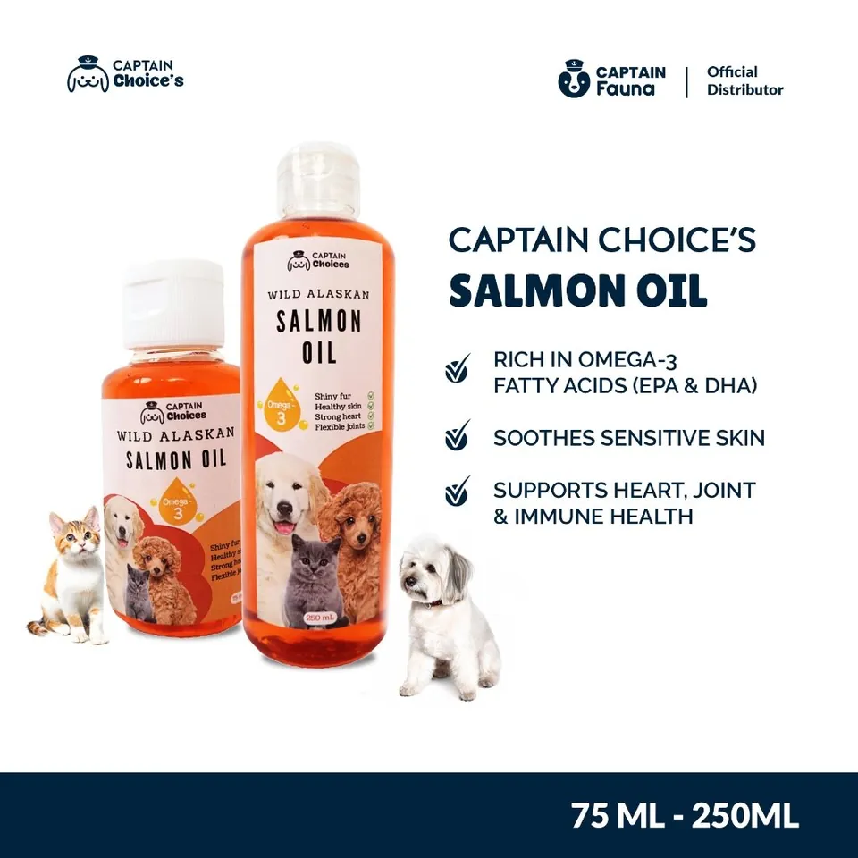 Salmon Oil Untuk Kucing Anjing