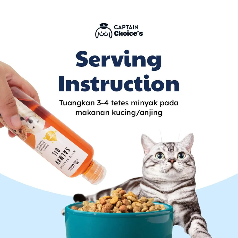 Salmon Oil Untuk Kucing Anjing
