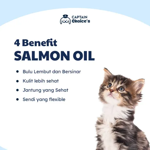 Salmon Oil Untuk Kucing Anjing 4